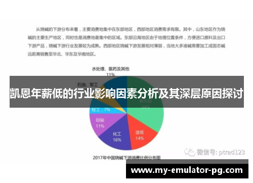 凯恩年薪低的行业影响因素分析及其深层原因探讨