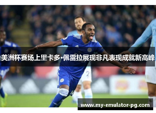 美洲杯赛场上里卡多·佩雷拉展现非凡表现成就新高峰