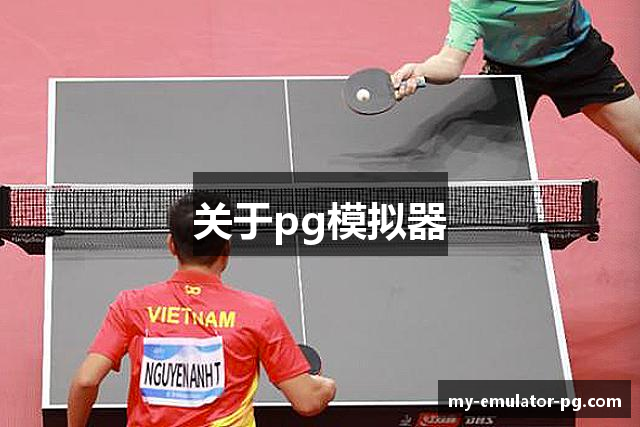 关于pg模拟器